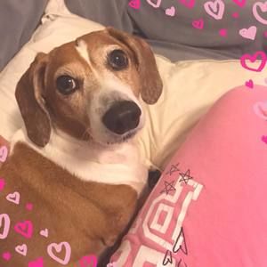 Meet your Posher, Maria